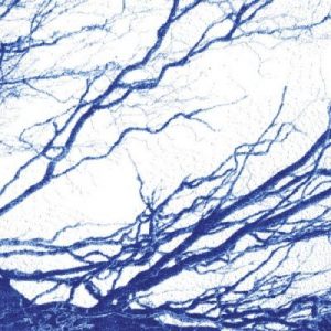 Bony King of Nowhere - Silent Days
