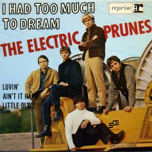 The Electric Prunes - I had too much to dream