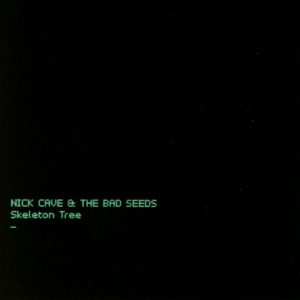 Nick Cave & the Bad Seeds - Skeleton tree