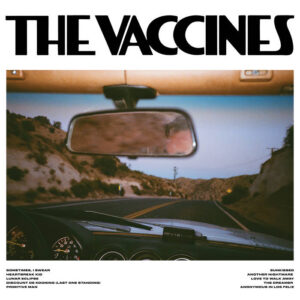 The Vaccines - Pick-Up Full Of Pink Carnations (Pink Vinyl)